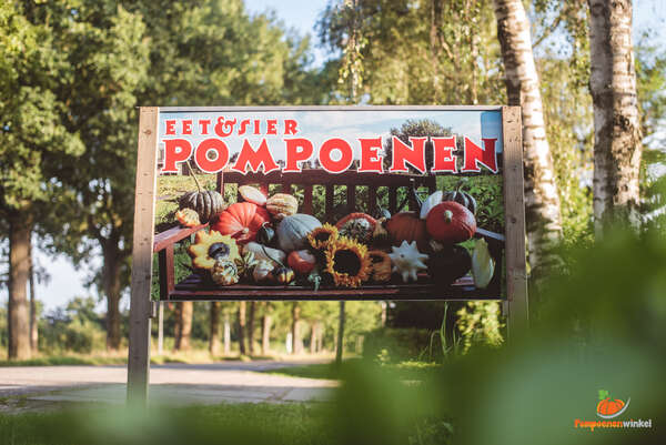 Pompoenen Kopen bij Pompoenen winkel in Drunen